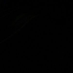 Meet your Posher, Jennafer