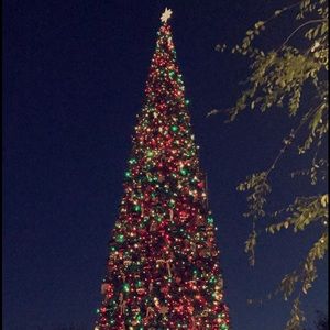 Meet your Posher, Lily