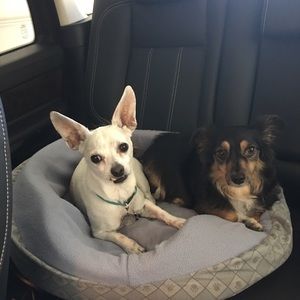 Meet your Posher, Jackie