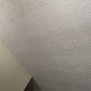 Meet your Posher, Cassie