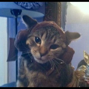 Meet your Posher, Monica