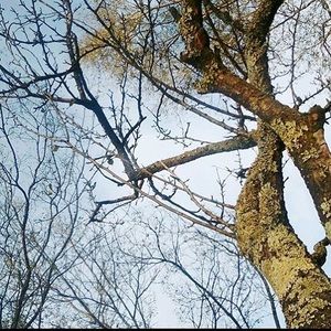 Meet your Posher, Cameron