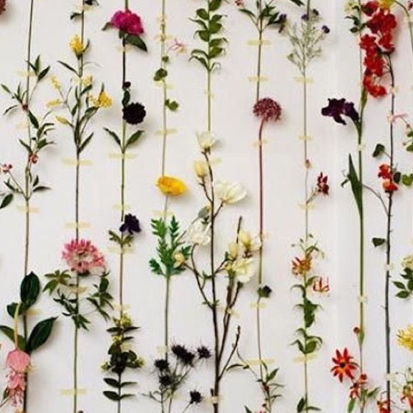 Meet your Posher, Molly