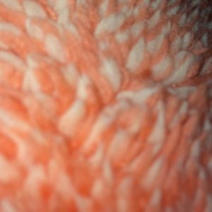 Meet your Posher, Francesca