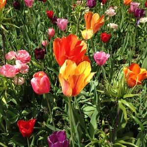 Meet your Posher, Maria