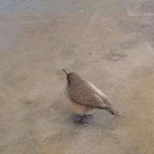 Meet your Posher, Casey