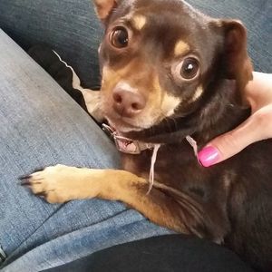 Meet your Posher, Jackieandsam