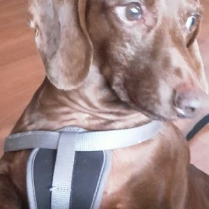 Meet your Posher, Vicki