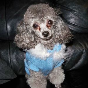 Meet your Posher, Kathy