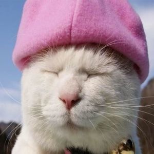 Meet your Posher, Renee