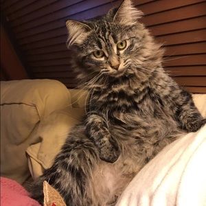 Meet your Posher, Catherine