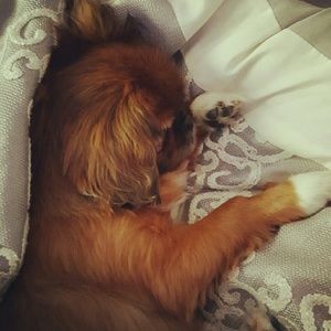 Meet your Posher, Katie