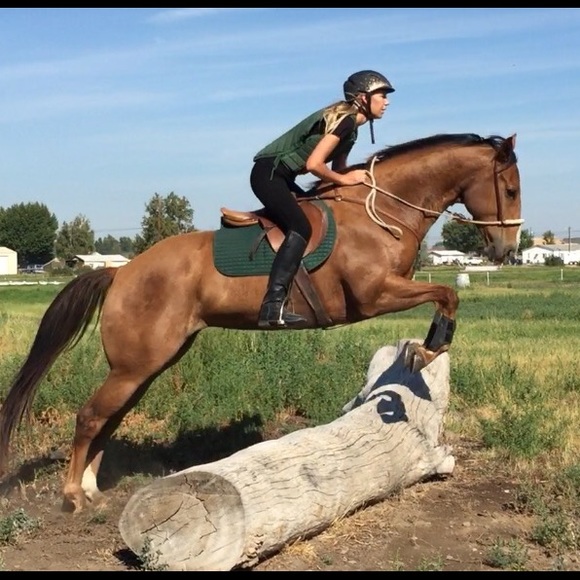 A Little About Me - Picture 3 of 4