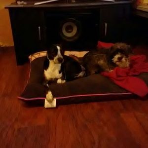 Meet your Posher, Brenda