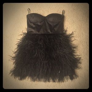 Black Swan Feather Dress