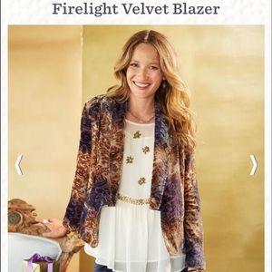 NWT✨Firelight Velvet Vest