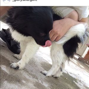 Meet your Posher, Betty