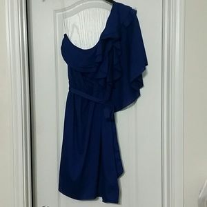 Royal Blue Dress