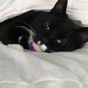 Meet your Posher, Deb