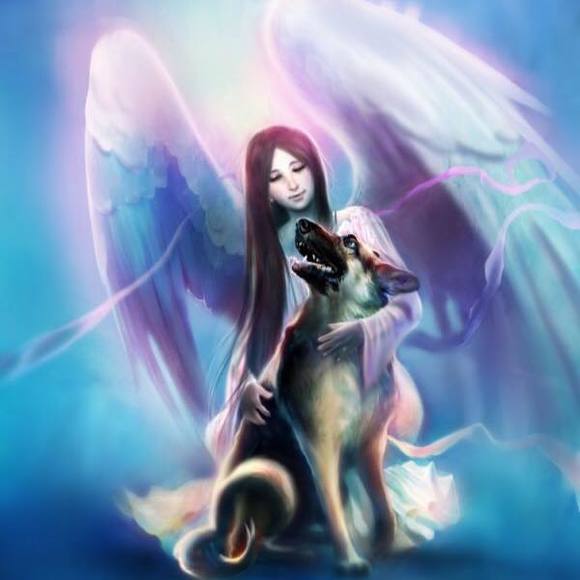 Meet your Posher, Angela - Picture 2 of 3