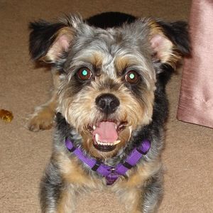 Meet your Posher, Kady