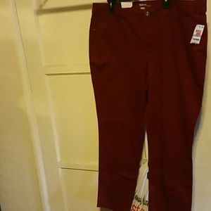 Style and co burgundy tummy control jeans