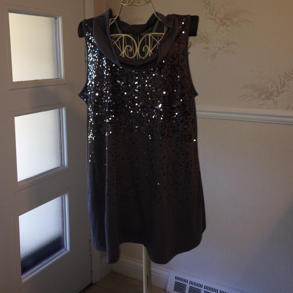 Lane Bryant Gray Tunic 22/24