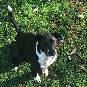 Meet your Posher, Kelsey