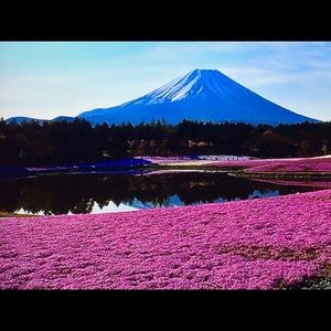 Meet your Posher, Deasia