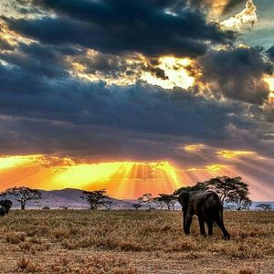 Meet your Posher, Abraham