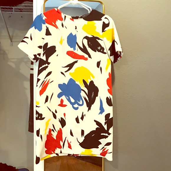 Zara painted shift dress