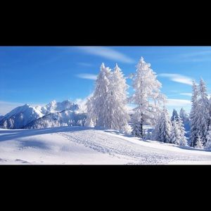 Meet your Posher, Lorena