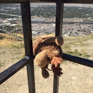 Meet your Posher, Stacey