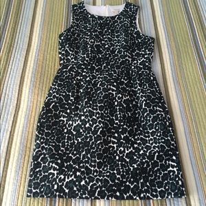 DONATING 6/19! PRICE FIRM* NWT J. Crew Print Dress