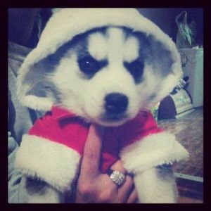 Meet your Posher, Erica