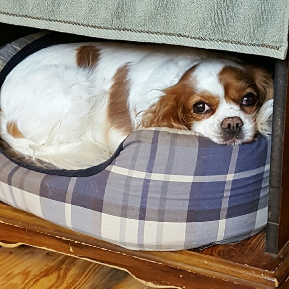 Meet your Posher, Debi