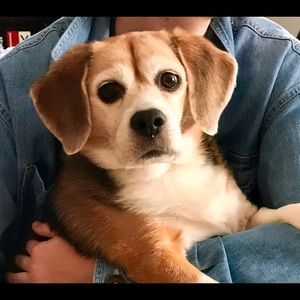 Meet your Posher, Maggy