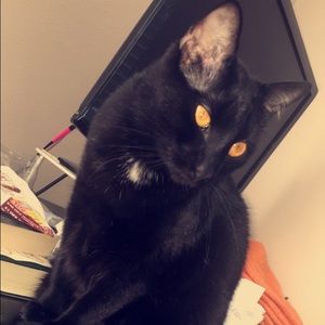 Meet your Posher, Alexis