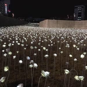 Meet your Posher, Sabrina