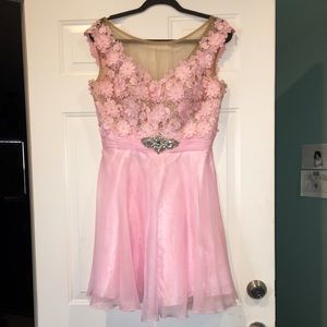 Evening/Homecoming Dress