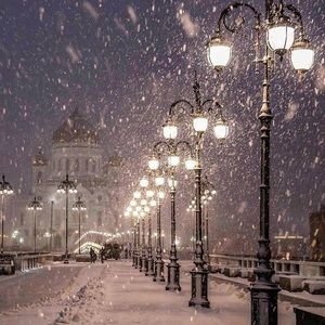 Meet your Posher, Shawna