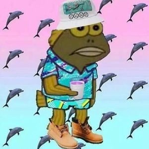 Meet your Posher, Shayne