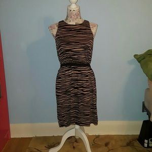 Animal print loft dress!