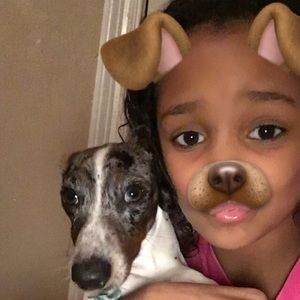 Meet your Posher, Bailey