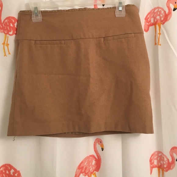 Tan winter skirt (Gap)