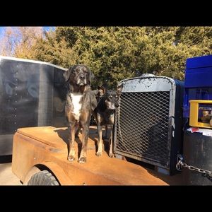 Meet your Posher, Casey