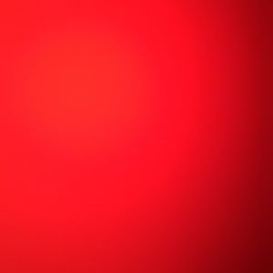 Meet your Posher, Louise