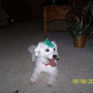 Meet your Posher, Sue