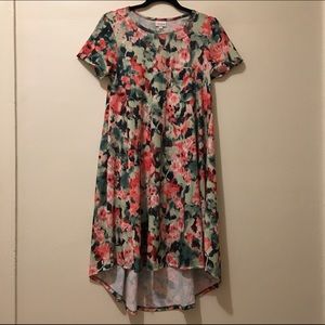 LuLaRoe Carly Dress