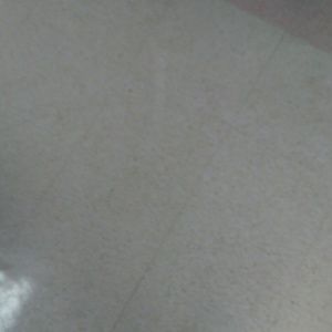 Meet your Posher, Laneshia